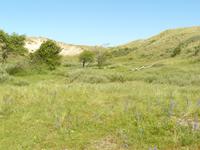 Kennemer Nationalpark 4 &ndash; &copy; Margret van Blokland (Eberhardt TRAVEL)