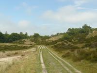 Dünen bei Bergen