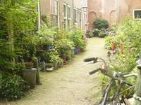 Haarlem 3 &ndash; &copy; Margret van Blokland (Eberhardt TRAVEL)