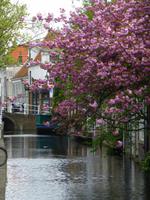Delft &ndash; &copy; Kerstin Hugel (Eberhardt TRAVEL)