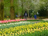 Keukenhof &ndash; &copy; Kerstin Hugel (Eberhardt TRAVEL)