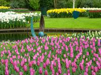 Keukenhof &ndash; &copy; Kerstin Hugel (Eberhardt TRAVEL)