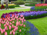 Keukenhof &ndash; &copy; Kerstin Hugel (Eberhardt TRAVEL)