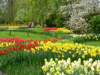 Keukenhof &ndash; &copy; Kerstin Hugel (Eberhardt TRAVEL)