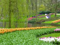 Keukenhof &ndash; &copy; Kerstin Hugel (Eberhardt TRAVEL)