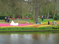 Keukenhof &ndash; &copy; Kerstin Hugel (Eberhardt TRAVEL)