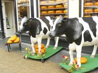 Delft 9