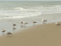 Scheveingen 5 &ndash; &copy; Margret van Blokland (Eberhardt TRAVEL)