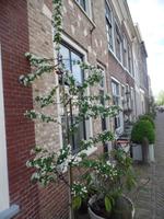 Delft &ndash; &copy; Kerstin Hugel (Eberhardt TRAVEL)