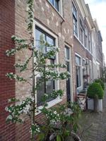 Delft &ndash; &copy; Kerstin Hugel (Eberhardt TRAVEL)
