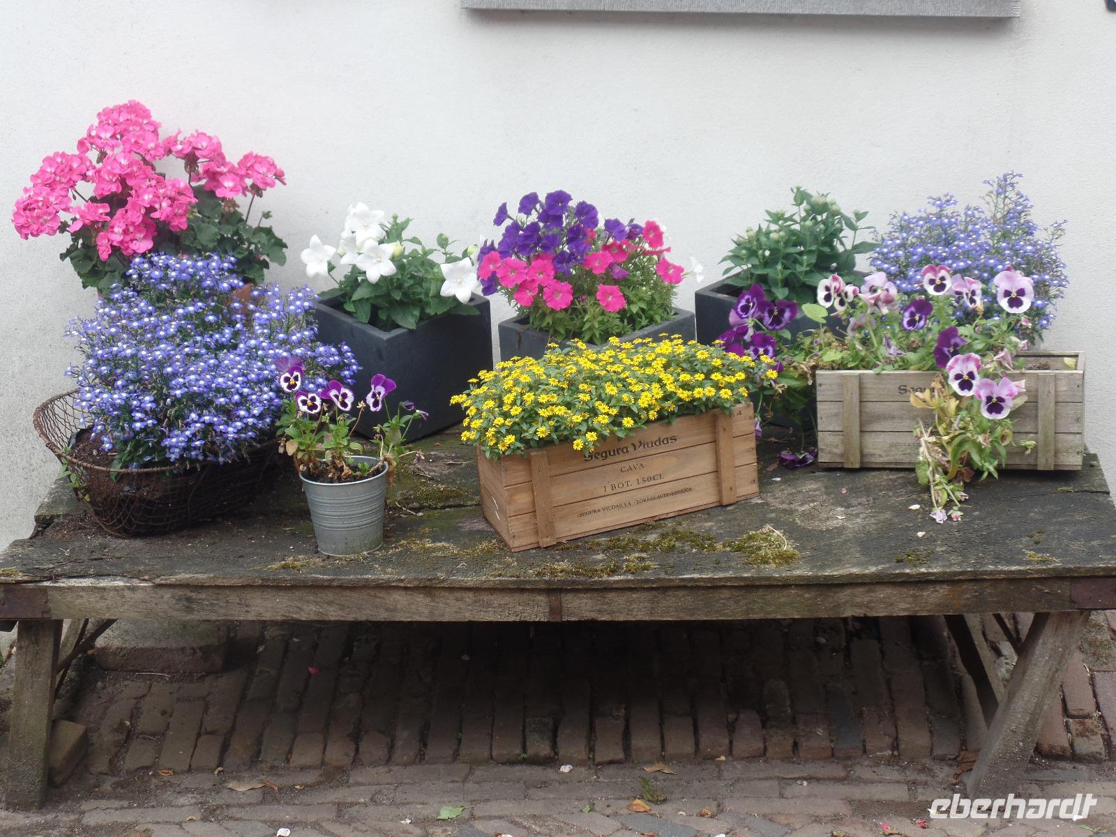 Amersfoort &ndash; &copy; Kerstin Hugel (Eberhardt TRAVEL)
