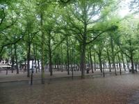 Den Haag &ndash; &copy; Kerstin Hugel (Eberhardt TRAVEL)