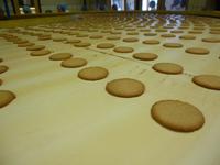 Punselie Gouda &ndash; &copy; Grit Wendelberger (Eberhardt TRAVEL)