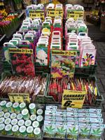 Blumenmarkt &ndash; &copy; Philip Seidel (Eberhardt TRAVEL)