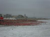 Scheveningen &ndash; &copy; Harald Kühne (Eberhardt TRAVEL)