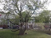 Den Haag &ndash; &copy; Sabine Letzybyll (Eberhardt TRAVEL)