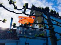 Zierikzee &ndash; &copy; Sabine Letzybyll (Eberhardt TRAVEL)