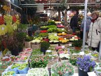 Amsterdamer Blumenmarkt Singel &ndash; &copy; Dr. Michael Krause (Eberhardt TRAVEL)