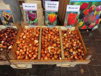 Bloemenmarkt  &ndash; &copy; Julia Doppke (Eberhardt TRAVEL)