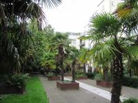 Palmengarten  &ndash; &copy; Julia Doppke (Eberhardt TRAVEL)