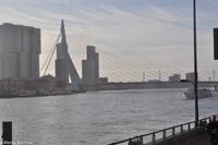 Rotterdam &ndash; &copy; Martin Büchner (Eberhardt TRAVEL)