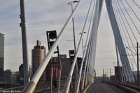 Rotterdam - Erasmusbrücke &ndash; &copy; Martin Büchner (Eberhardt TRAVEL)