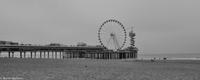 Silvester in Rotterdam-125 &ndash; &copy; Martin Büchner (Eberhardt TRAVEL)