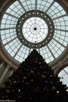 Silvester in Rotterdam-162 &ndash; &copy; Martin Büchner (Eberhardt TRAVEL)