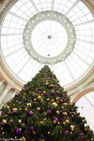 Silvester in Rotterdam-163 &ndash; &copy; Martin Büchner (Eberhardt TRAVEL)