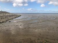 Wattenmeer  &ndash; &copy; Sabine Letzybyll (Eberhardt TRAVEL)