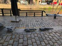 Groningen &ndash; &copy; Sabine Letzybyll (Eberhardt TRAVEL)