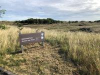 Texel &ndash; &copy; Sabine Letzybyll (Eberhardt TRAVEL)