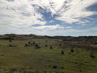 Texel &ndash; &copy; Sabine Letzybyll (Eberhardt TRAVEL)