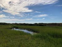 Texel &ndash; &copy; Sabine Letzybyll (Eberhardt TRAVEL)