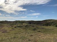 Texel &ndash; &copy; Sabine Letzybyll (Eberhardt TRAVEL)