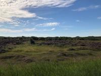 Texel &ndash; &copy; Sabine Letzybyll (Eberhardt TRAVEL)