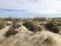 Texel &ndash; &copy; Sabine Letzybyll (Eberhardt TRAVEL)