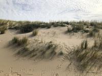 Texel &ndash; &copy; Sabine Letzybyll (Eberhardt TRAVEL)