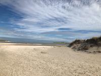 Texel &ndash; &copy; Sabine Letzybyll (Eberhardt TRAVEL)