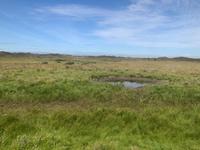 Texel &ndash; &copy; Sabine Letzybyll (Eberhardt TRAVEL)