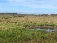 Texel &ndash; &copy; Sabine Letzybyll (Eberhardt TRAVEL)