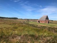Texel &ndash; &copy; Sabine Letzybyll (Eberhardt TRAVEL)