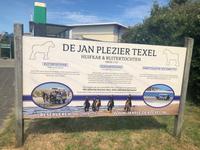 Texel &ndash; &copy; Sabine Letzybyll (Eberhardt TRAVEL)