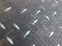 Harderwijk &ndash; &copy; Sabine Letzybyll (Eberhardt TRAVEL)