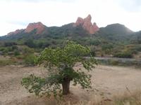 Las Medulas &ndash; &copy; Barbara Pflicke (Eberhardt TRAVEL)