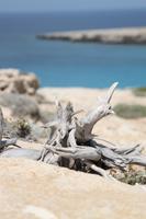 Kap Greko &ndash; &copy; Denise Hartmann (Eberhardt TRAVEL)