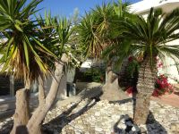 Zypern: Paphos &ndash; &copy; Inge Bily (Eberhardt TRAVEL)