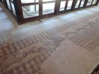 Paphos: Rundgang: Archäologischer Park: Mosaike &ndash; &copy; Inge Bily (Eberhardt TRAVEL)