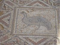 Limassol: archäologische Ausgrabungen im antiken Königreich Kourion &ndash; &copy; Inge Bily (Eberhardt TRAVEL)
