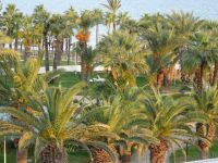 Larnaka: am Hotel &ndash; &copy; Inge Bily (Eberhardt TRAVEL)